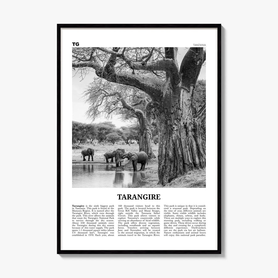 Tarangire National Park Newspaper Poster, framed poster mockup