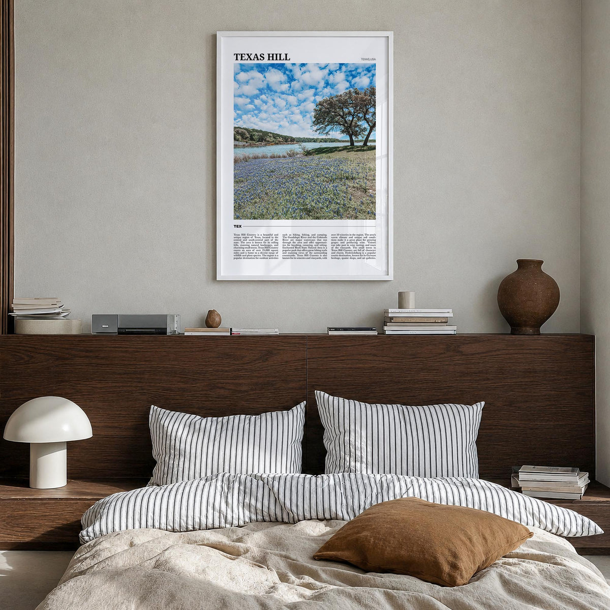 Texas Hill Country Travel Poster