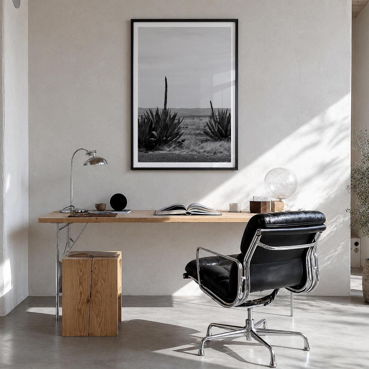 Texas Photo No 1 Poster