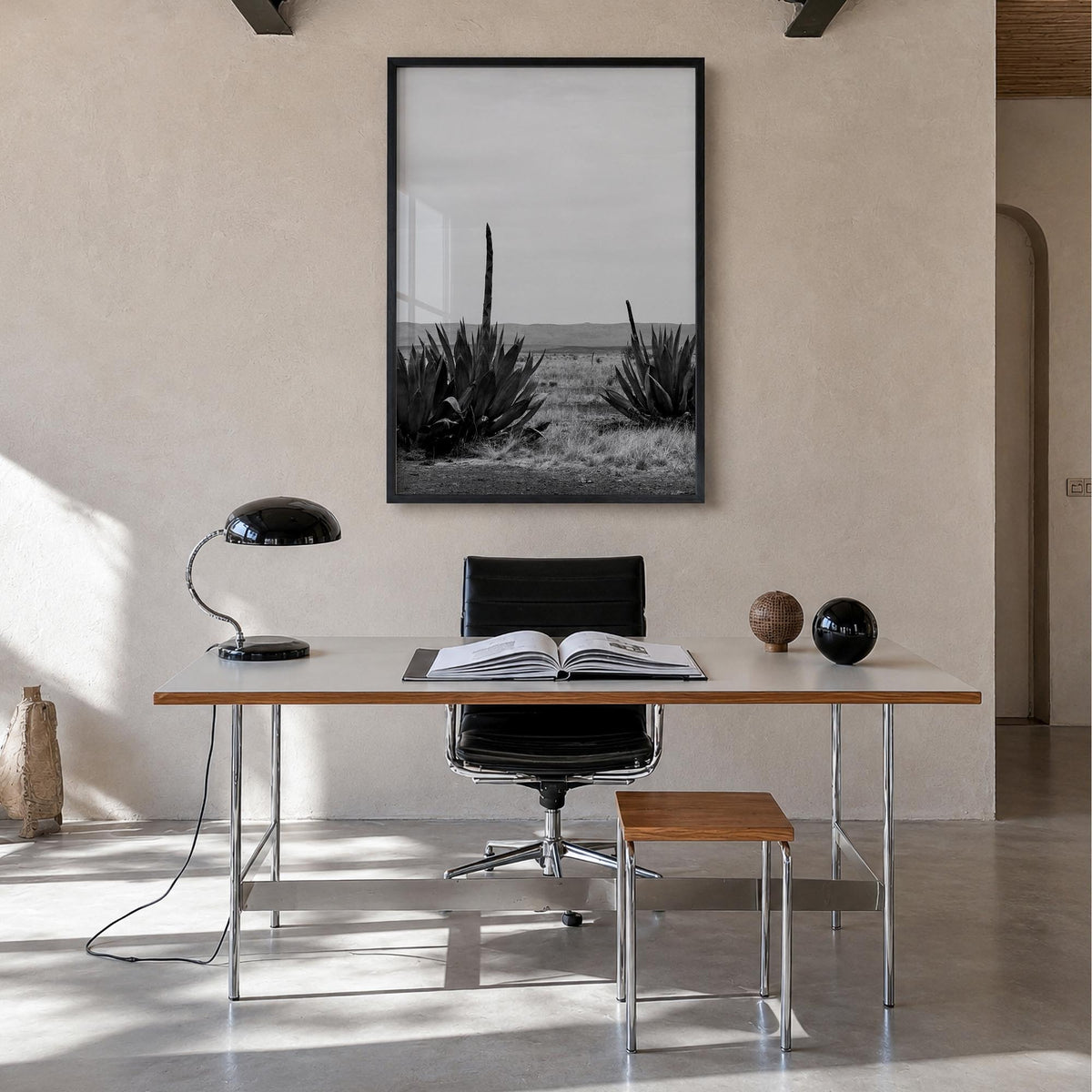 Texas Photo No 1 Poster