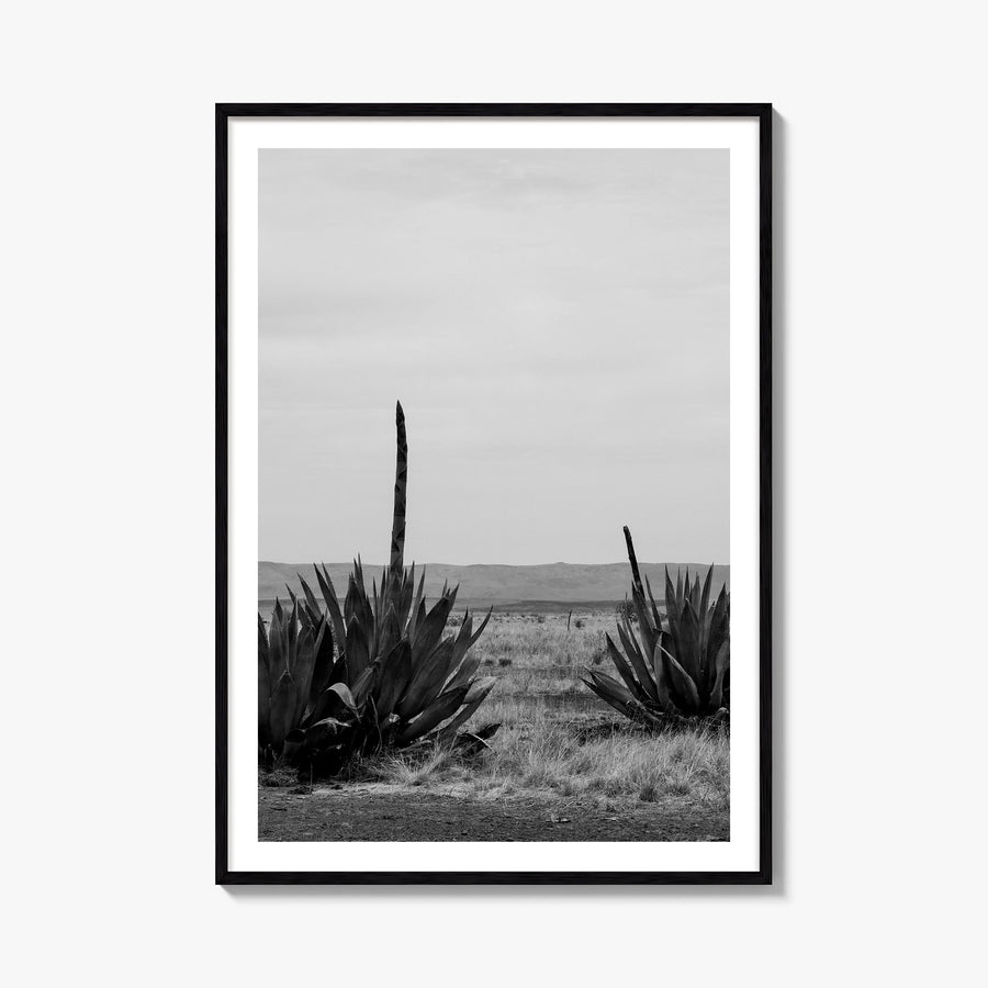 Texas no. 1 black & white photo poster of United States – vertical wall art, unframed print shown in interior mockup