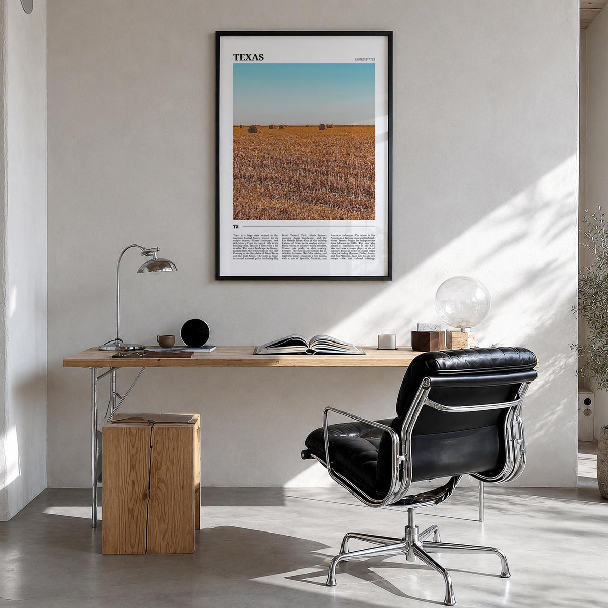 Texas Travel No 2 Poster