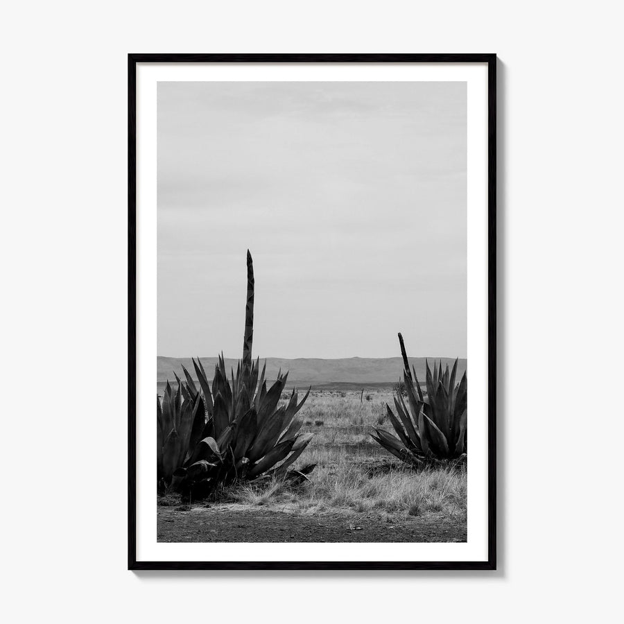 Texas Photo No 1 Poster, framed poster mockup, white border