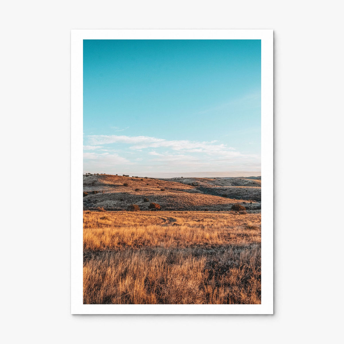Texas Photo Poster, print only (unframed), white border