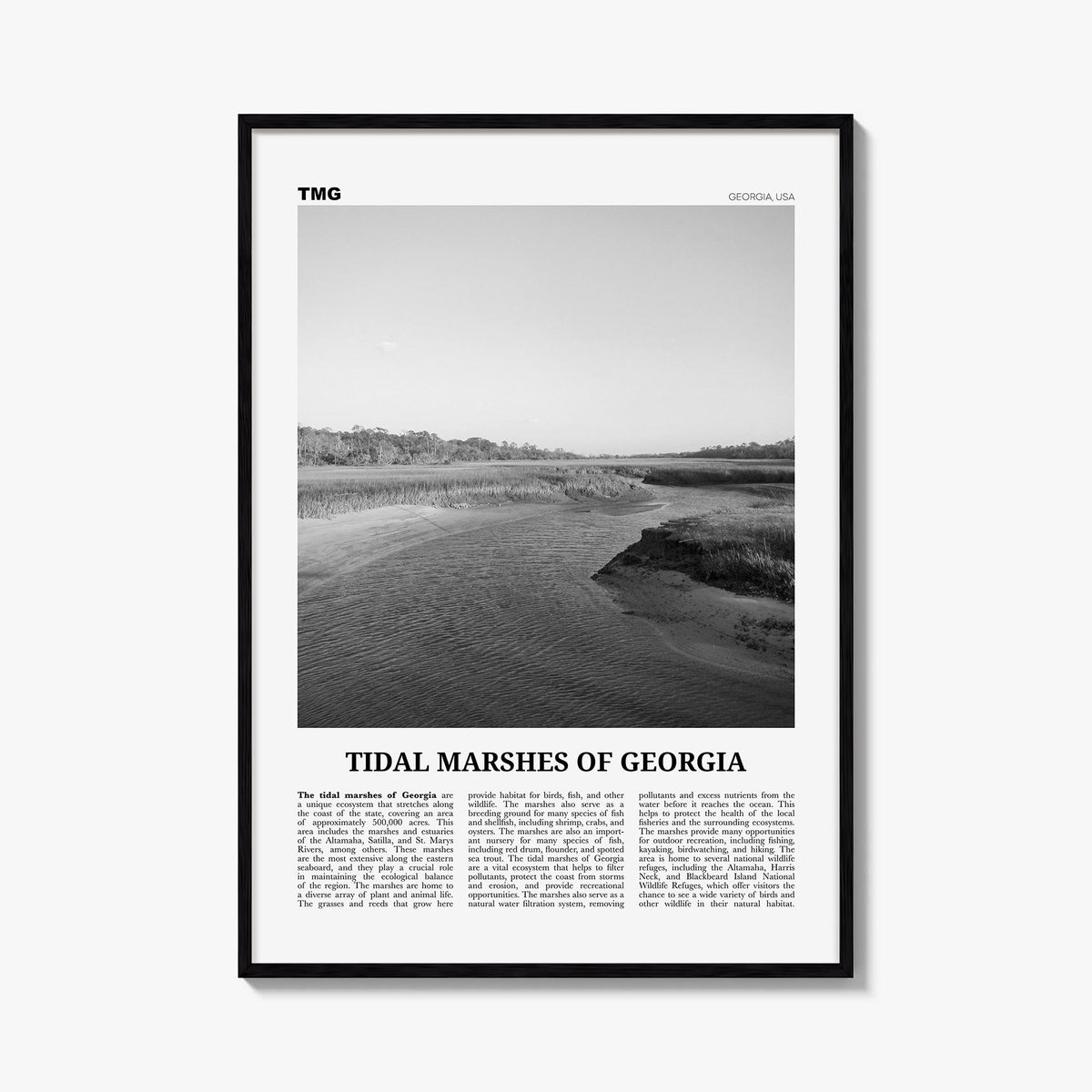 Tidal Marshes of Georgia black & white newspaper poster of Georgia, USA – vertical wall art, unframed print shown in interior