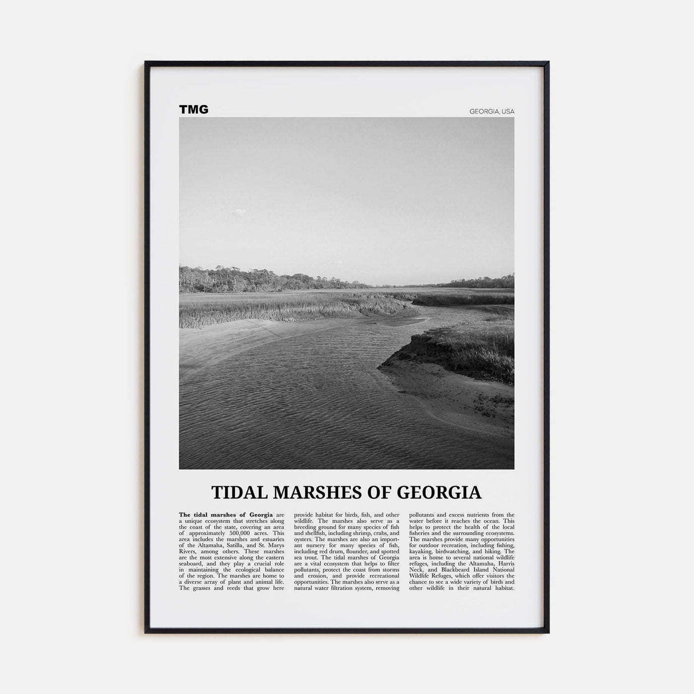 Tidal Marshes of Georgia Poster Black Metal / 8x12 in Nbourhood Travel B&W Poster