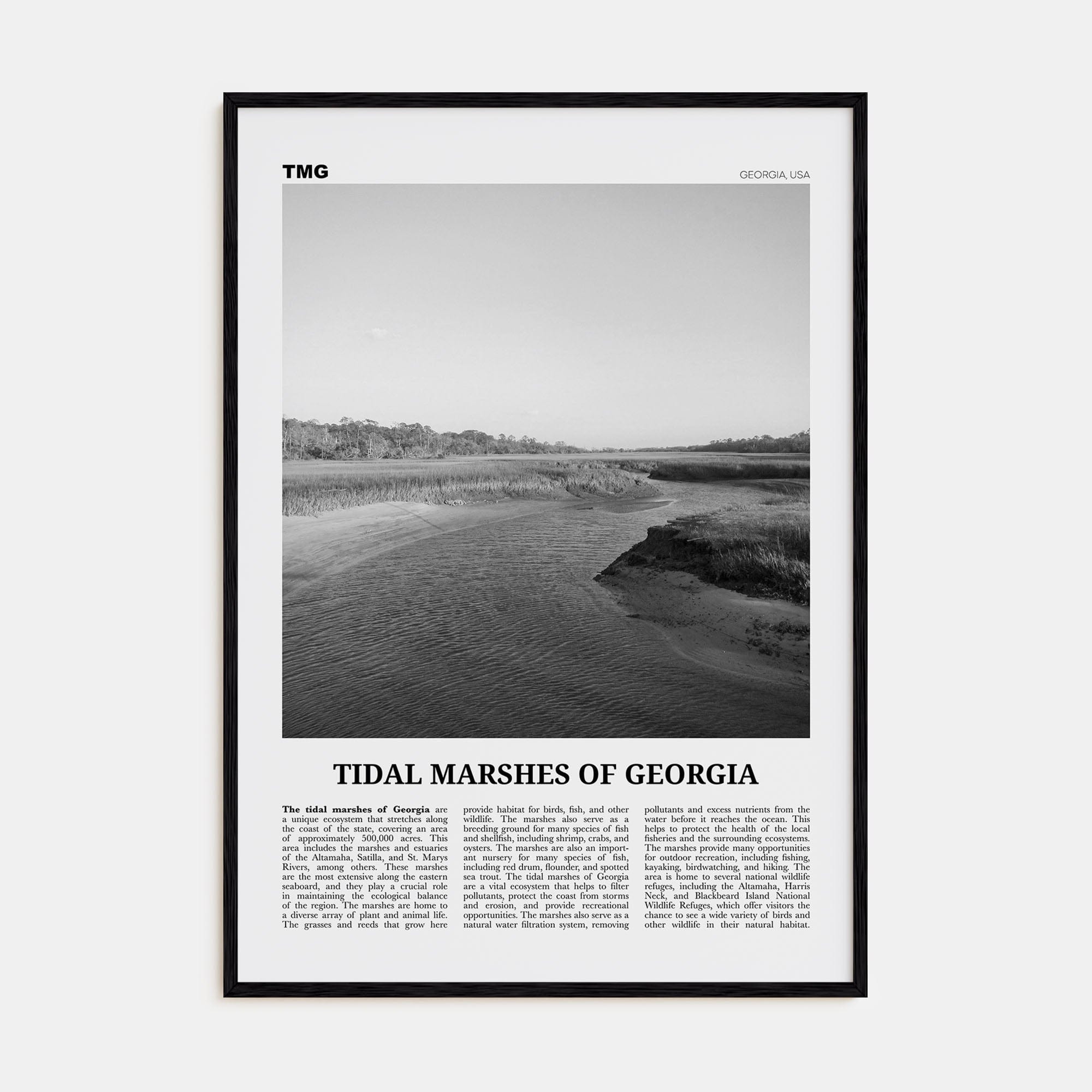 Tidal Marshes of Georgia Poster Black Wood / 8x12 in Nbourhood Travel B&W Poster