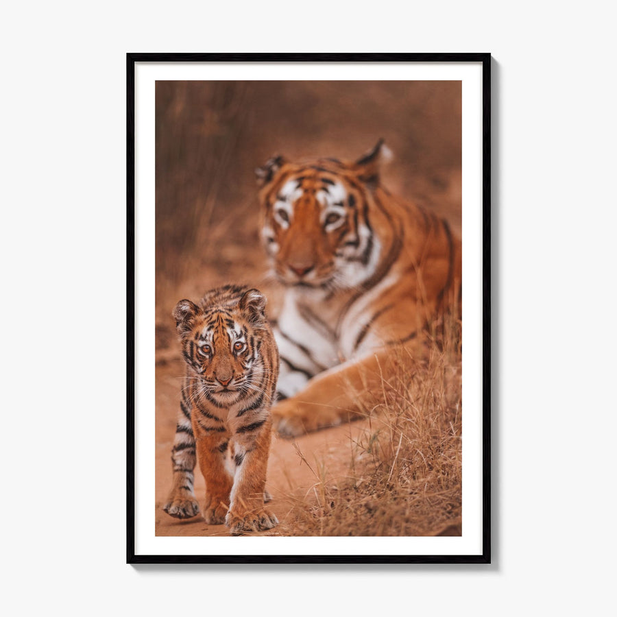 Tiger Photo Poster, framed poster mockup, white border
