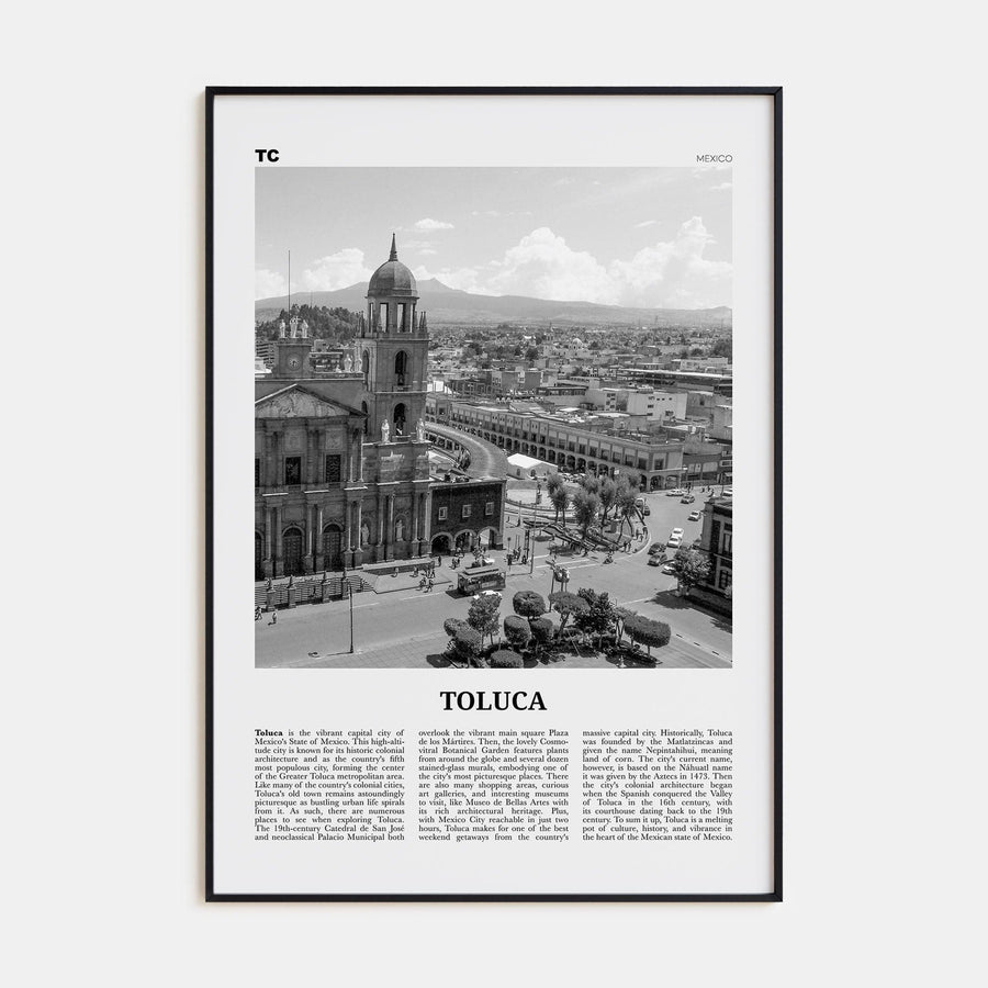 Toluca Poster Black Metal / 8x12 in Nbourhood Travel B&W Poster