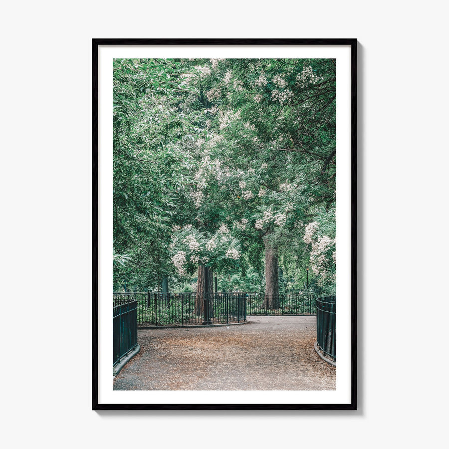 Tompkins Square Park Photo Poster, framed poster mockup, white border
