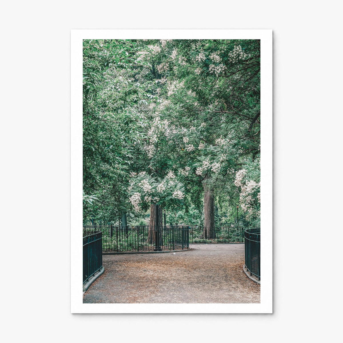 Tompkins Square Park Photo Poster, print only (unframed), white border