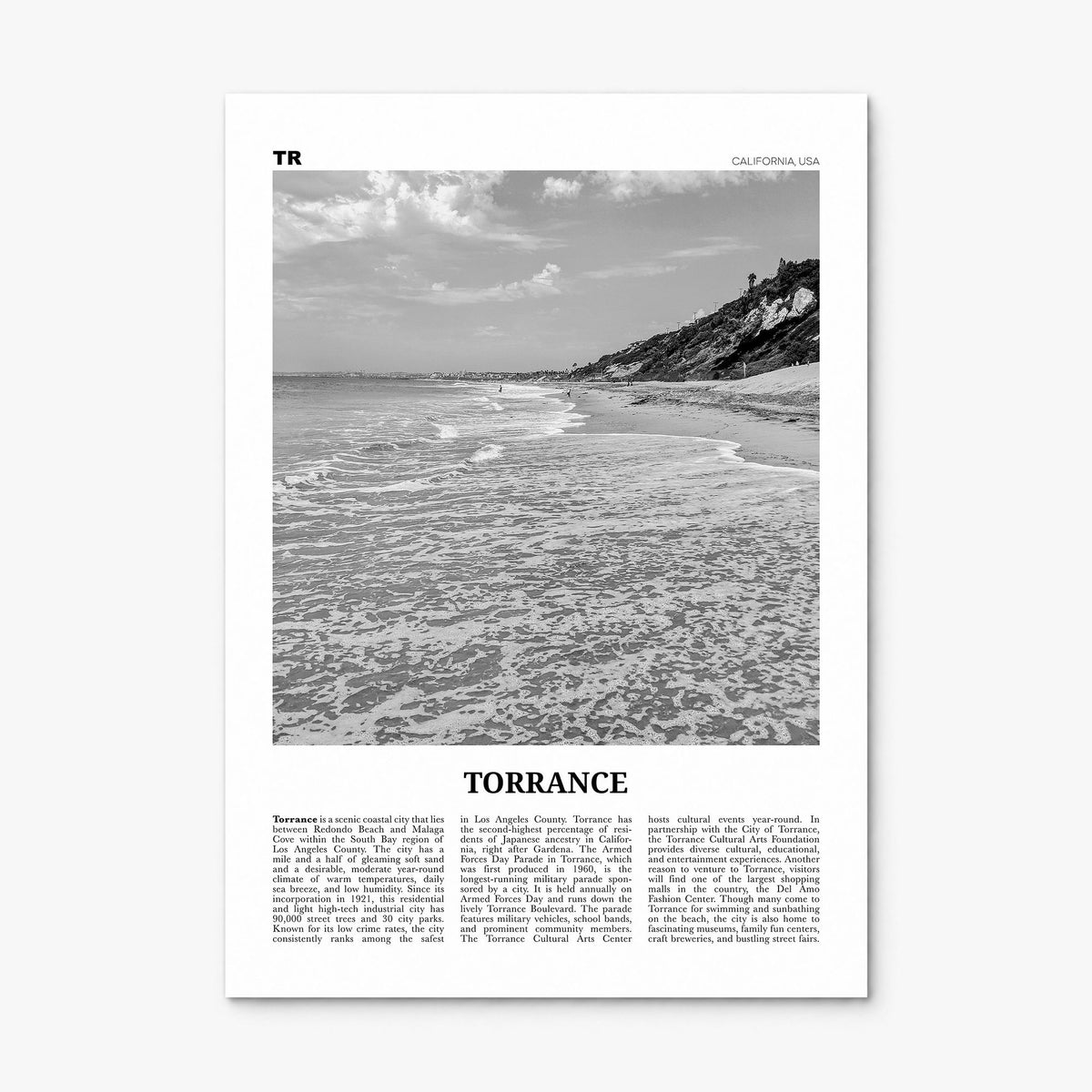 Torrance Newspaper Poster, print only (unframed)