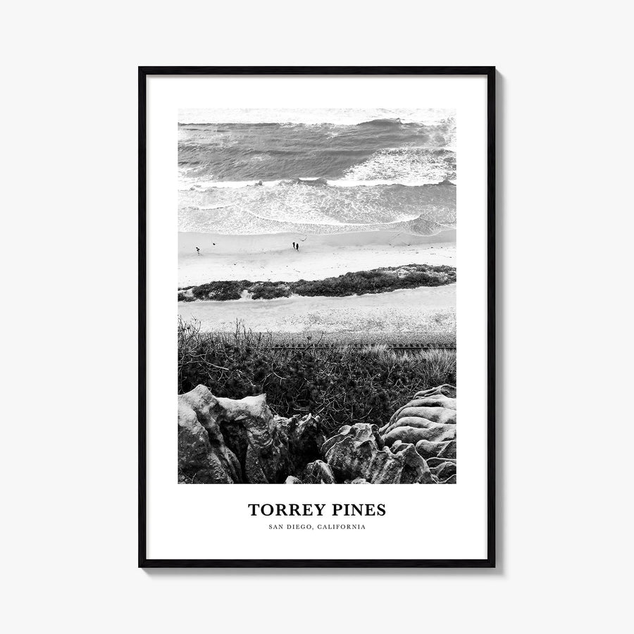 Torrey Pines no. 1 black & white classic poster of San Diego, California – vertical wall art, unframed print shown in interio