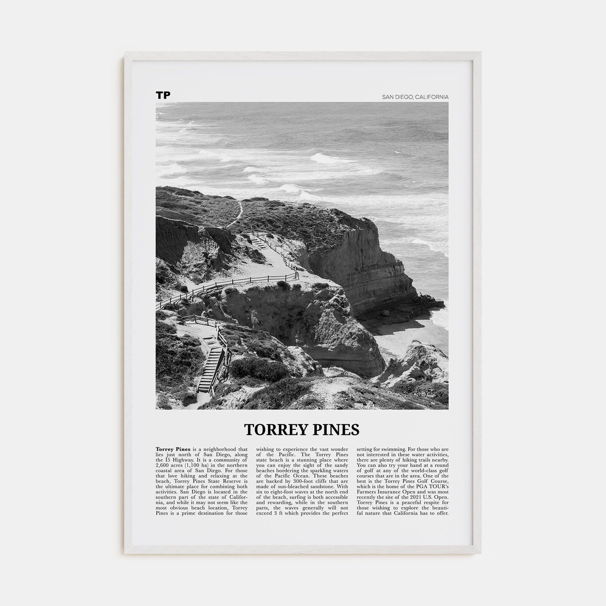 Torrey Pines No 1 Poster White Wood / 8x12 in Nbourhood Travel B&W Poster