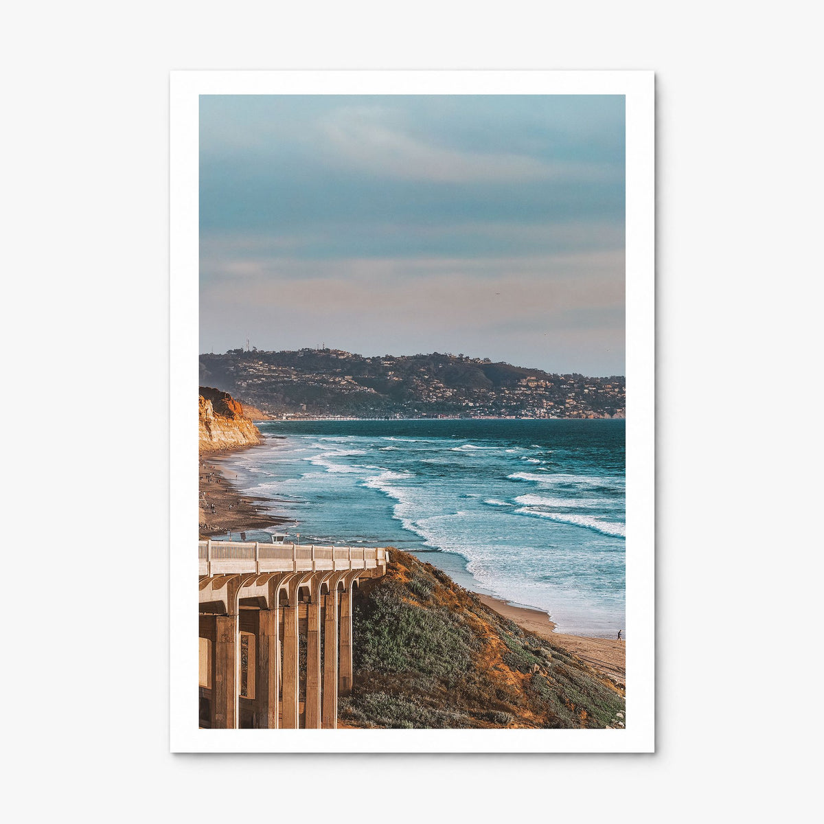 Torrey Pines Photo No 1 Poster, print only (unframed), white border