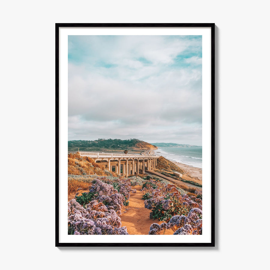 Torrey Pines Photo No 2 Poster, framed poster mockup, white border