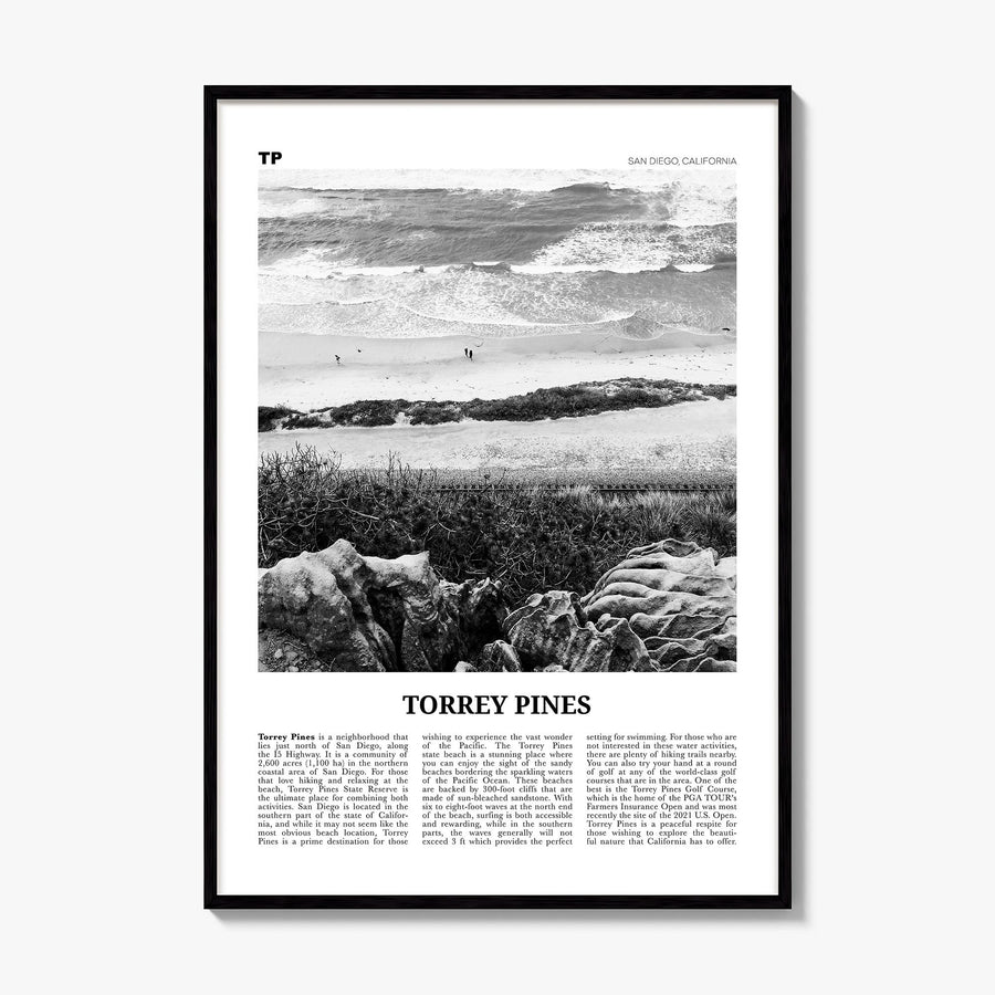Torrey Pines Newspaper No 2 Poster, framed poster mockup
