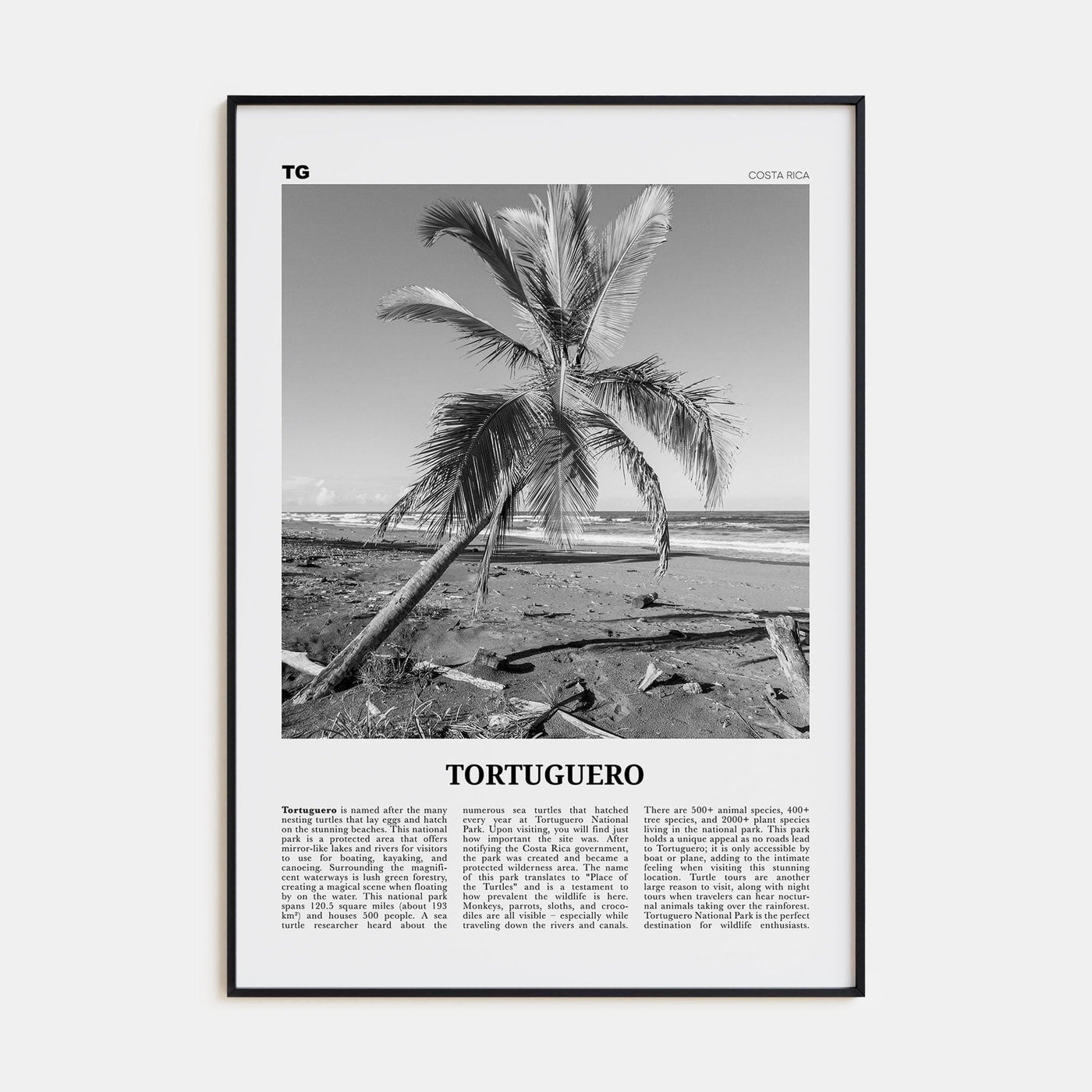 Tortuguero Poster Black Metal / 8x12 in Nbourhood Travel B&W Poster