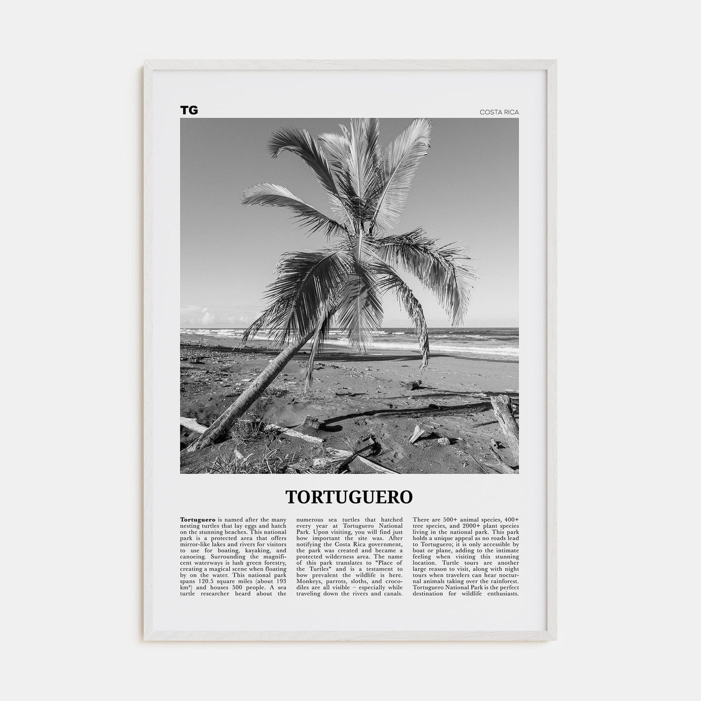 Tortuguero Poster White Wood / 8x12 in Nbourhood Travel B&W Poster