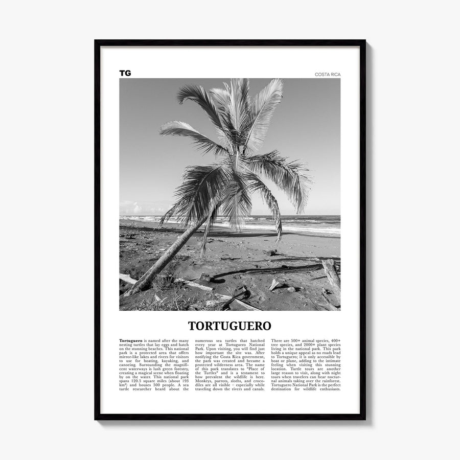 Tortuguero Newspaper Poster, framed poster mockup
