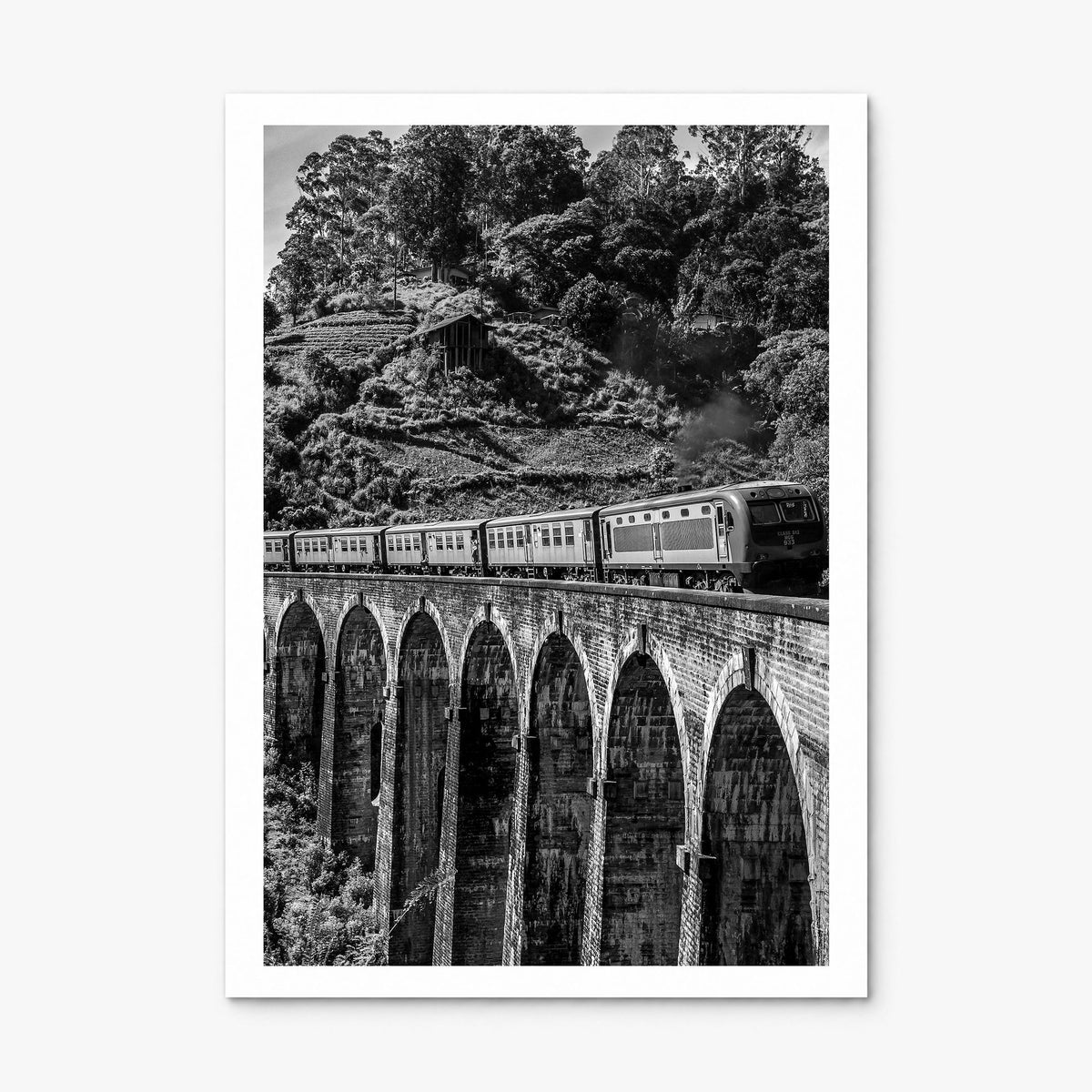 Train Arch Bridge Photo No 2 Poster, print only (unframed), white border