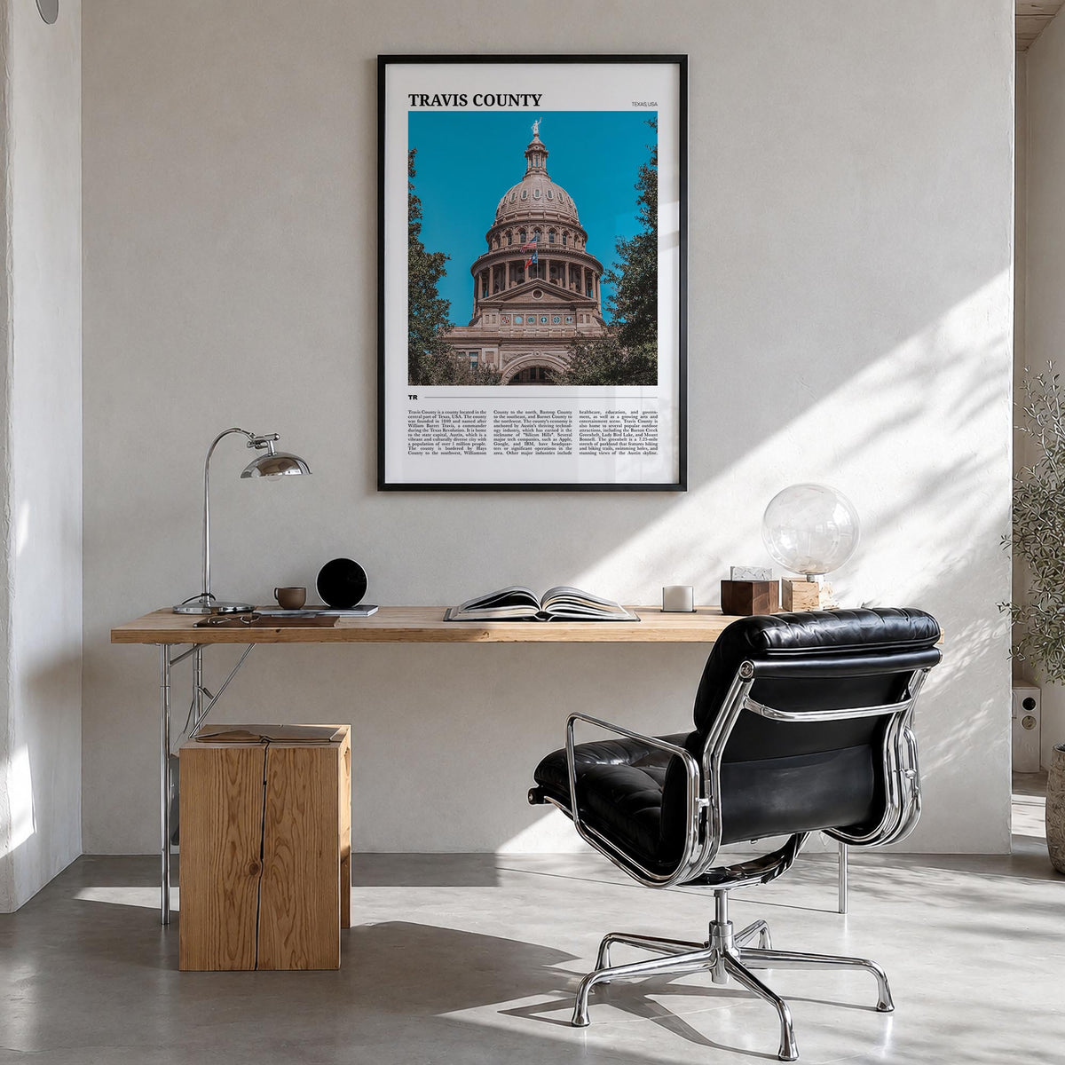 Travis County Travel Poster