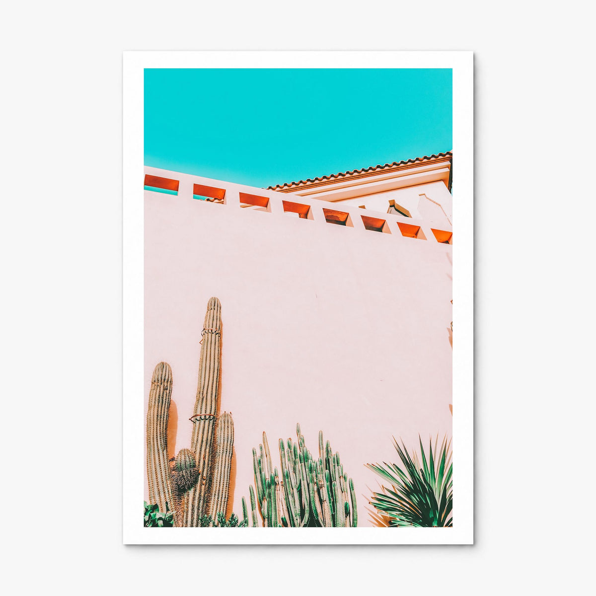 Tropical Mood Photo Poster, print only (unframed), white border