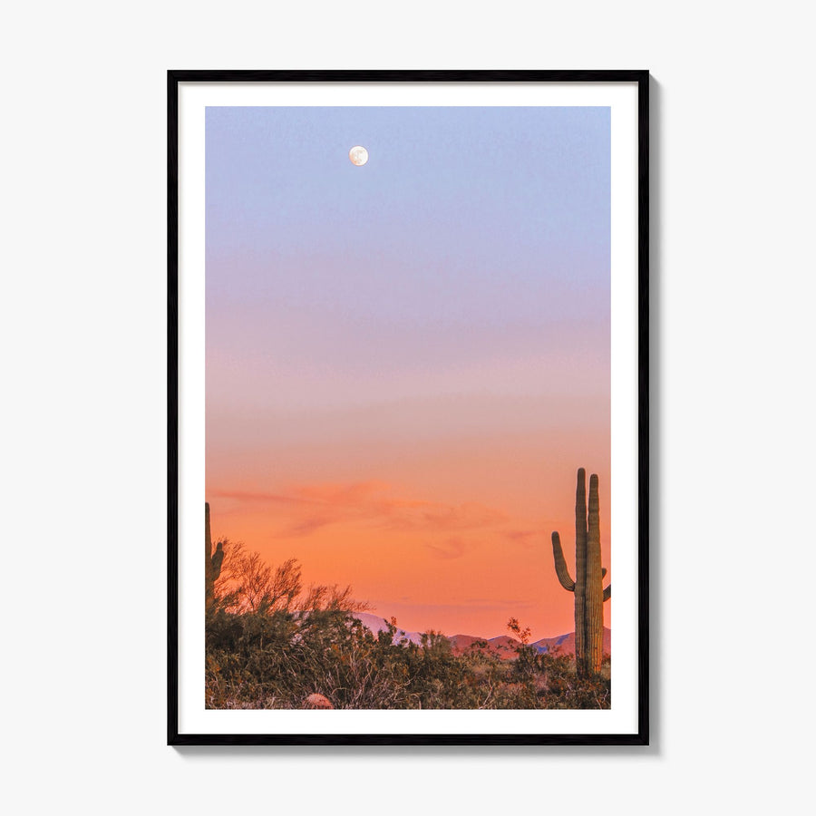 Tucson Photo No 3 Poster, framed poster mockup, white border