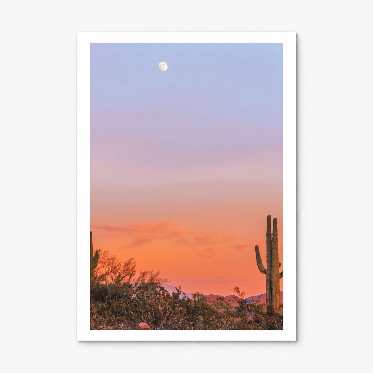 Tucson Photo No 3 Poster, print only (unframed), white border