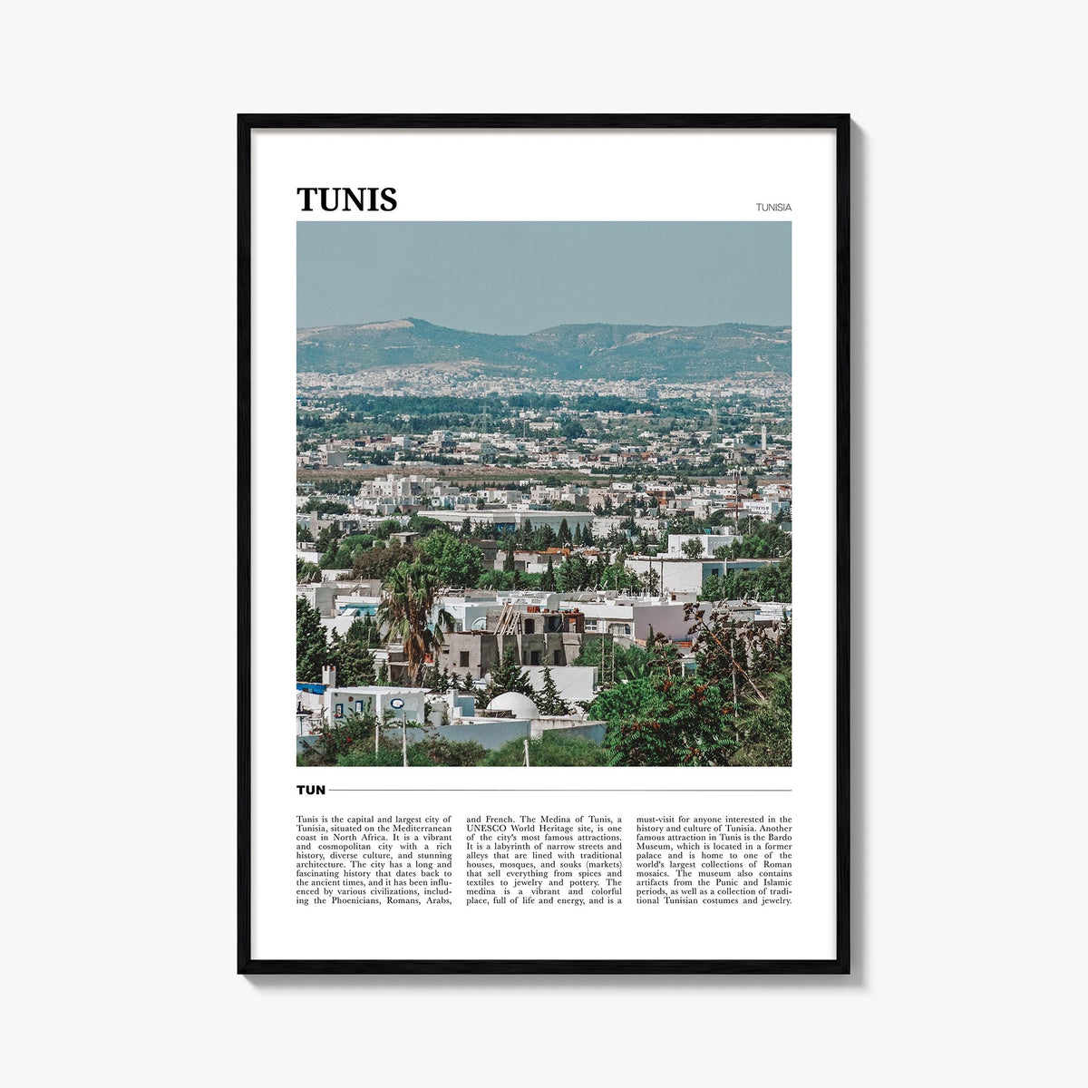 Tunis Travel Poster