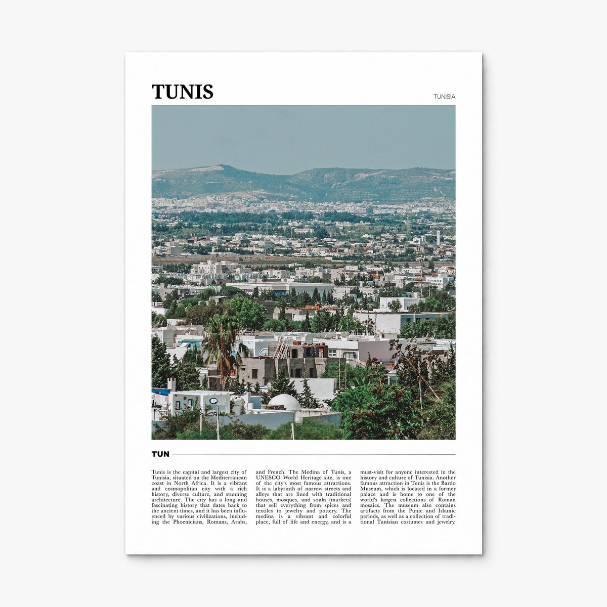 Tunis Travel Poster, print only (unframed)