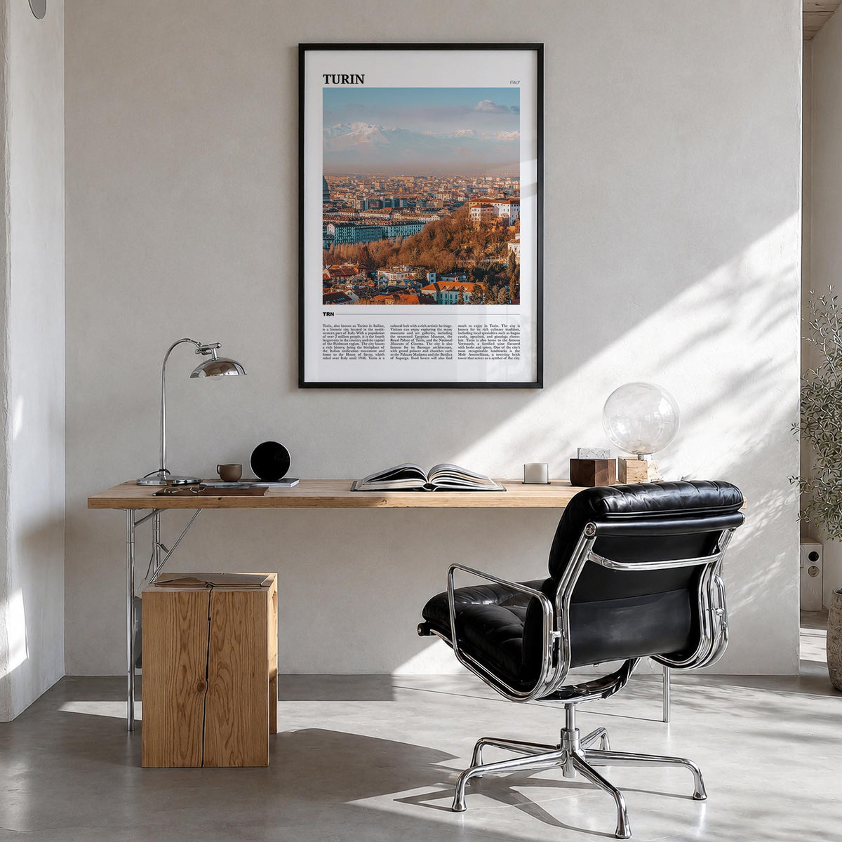 Turin Travel Poster