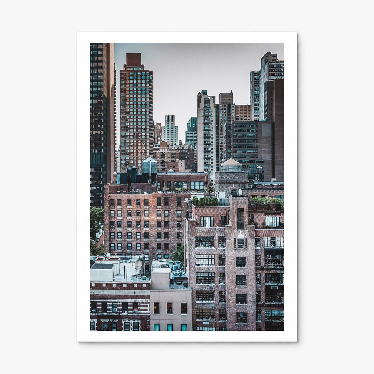 Turtle Bay Photo Poster, print only (unframed), white border