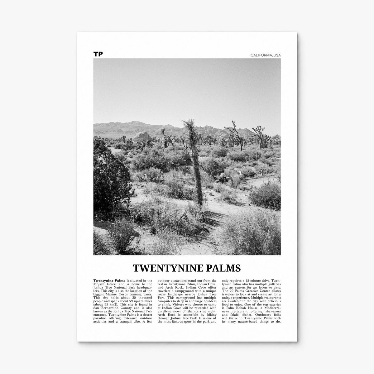Twentynine Palms Newspaper Poster, print only (unframed)