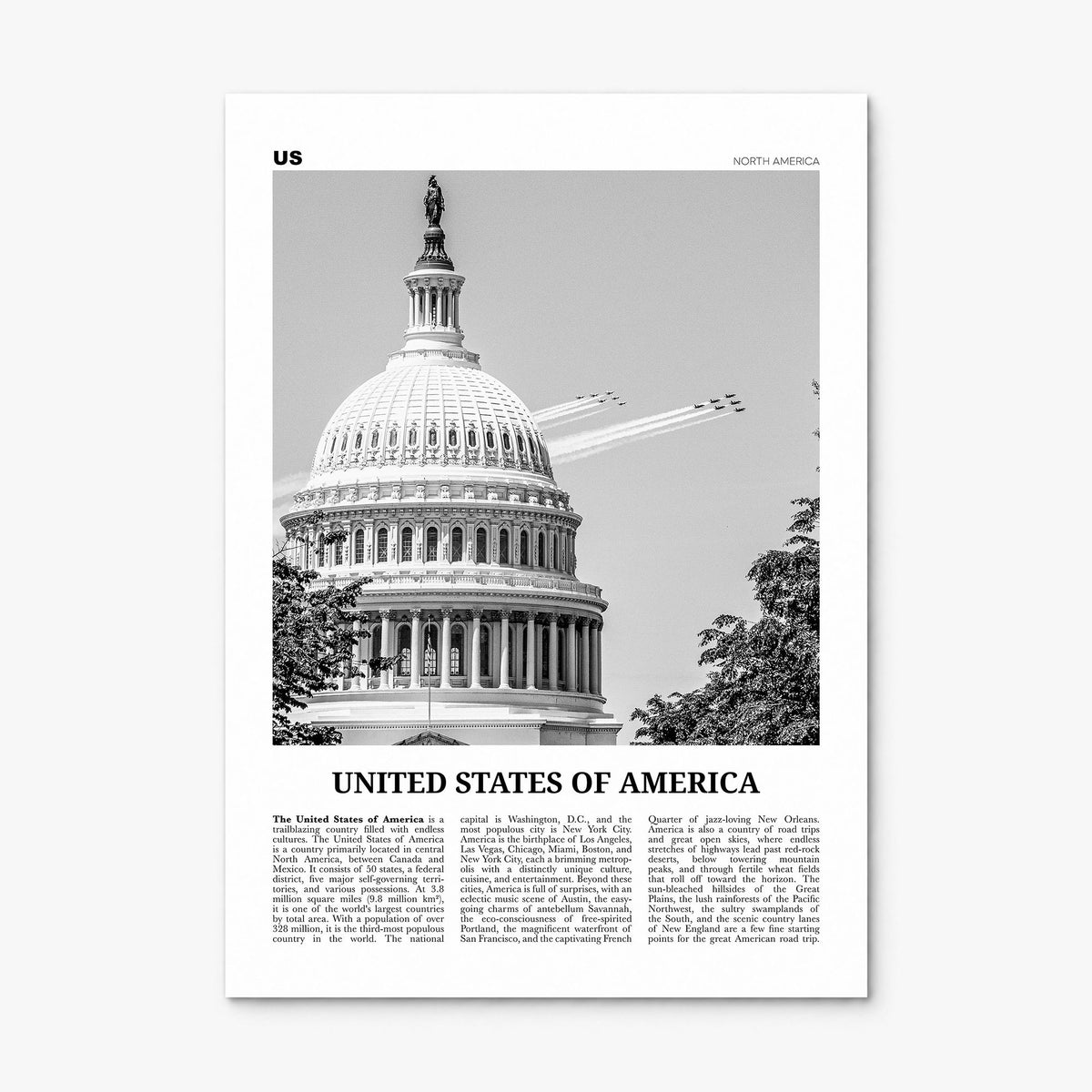 United States of America Newspaper No 2 Poster, print only (unframed)