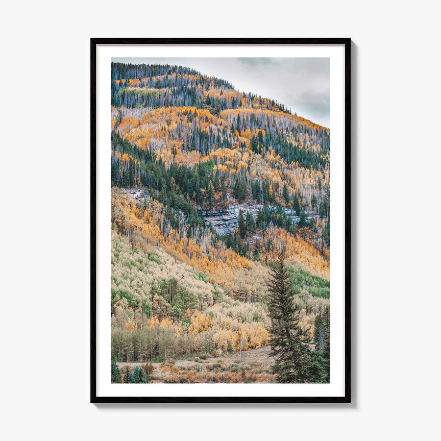 Vail Photo No 2 Poster, framed poster mockup, white border