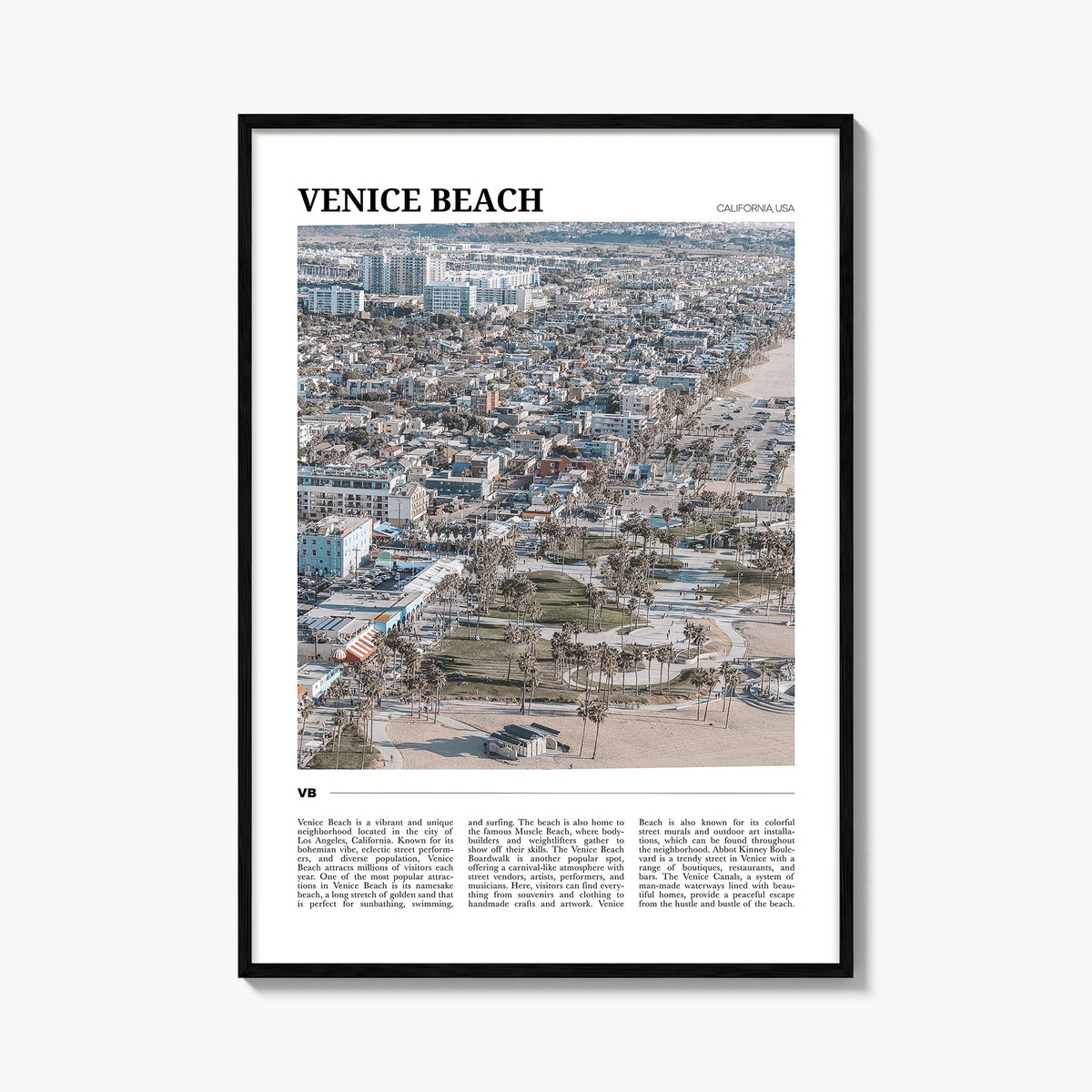Venice Beach Travel Poster