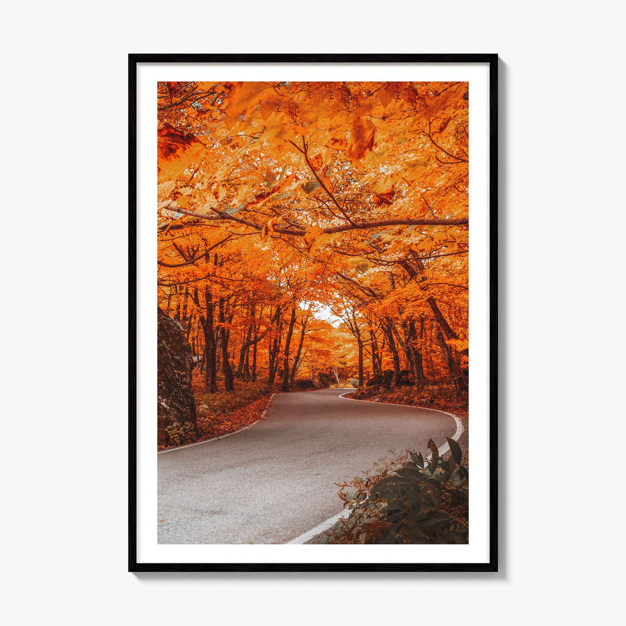 Vermont Photo No 2 Poster, framed poster mockup, white border