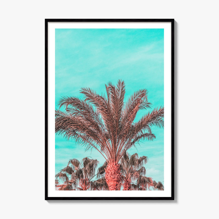 Vibrant Palm Trees Photo Poster, framed poster mockup, white border