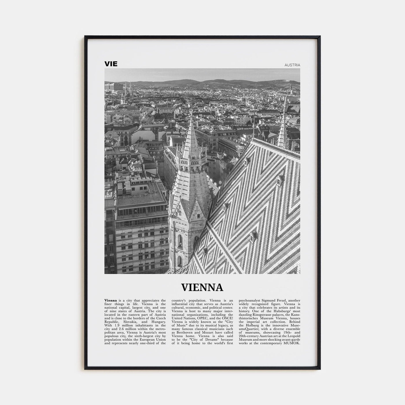 Vienna No 3 Poster Black Metal / 8x12 in Nbourhood Travel B&W Poster