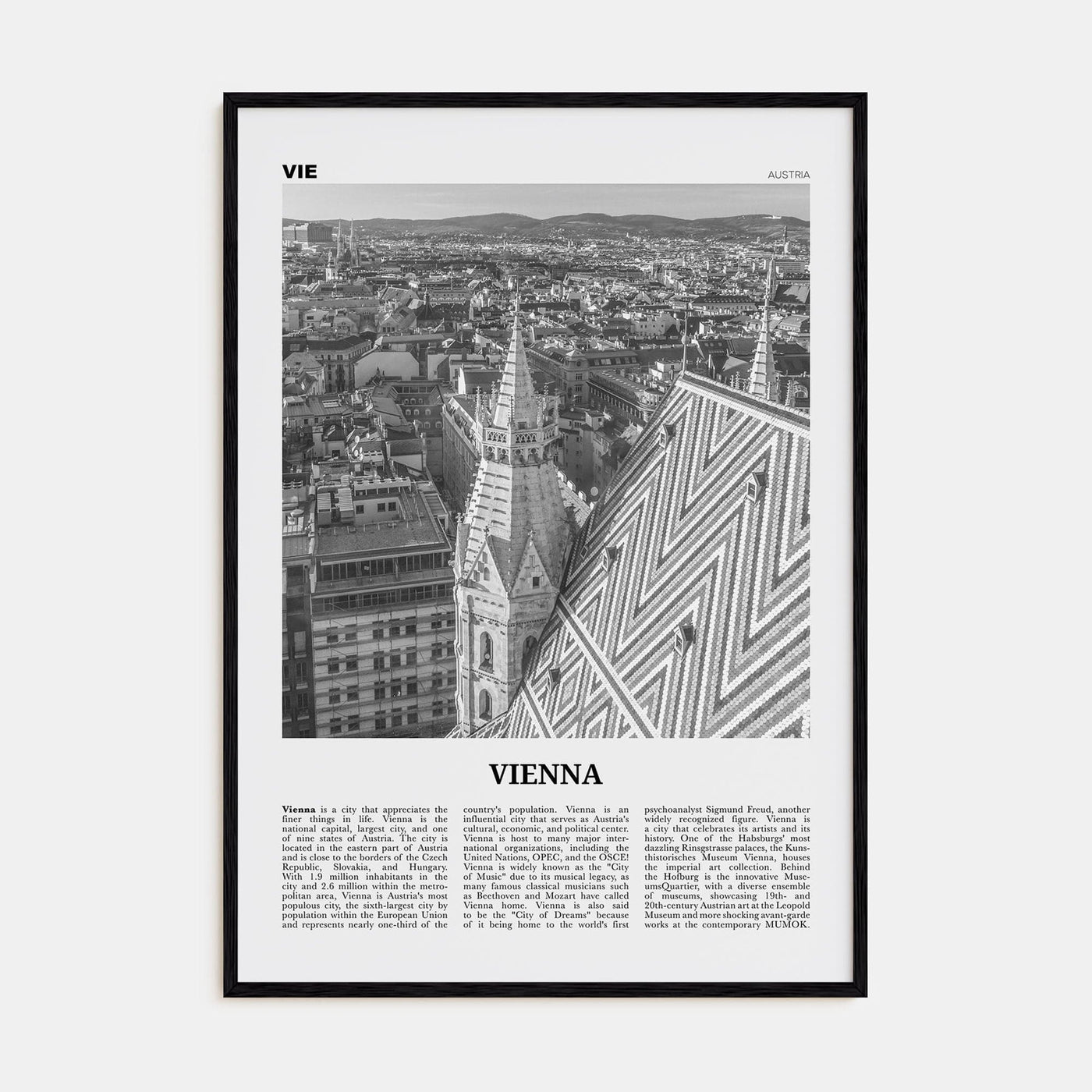 Vienna No 3 Poster Black Wood / 8x12 in Nbourhood Travel B&W Poster