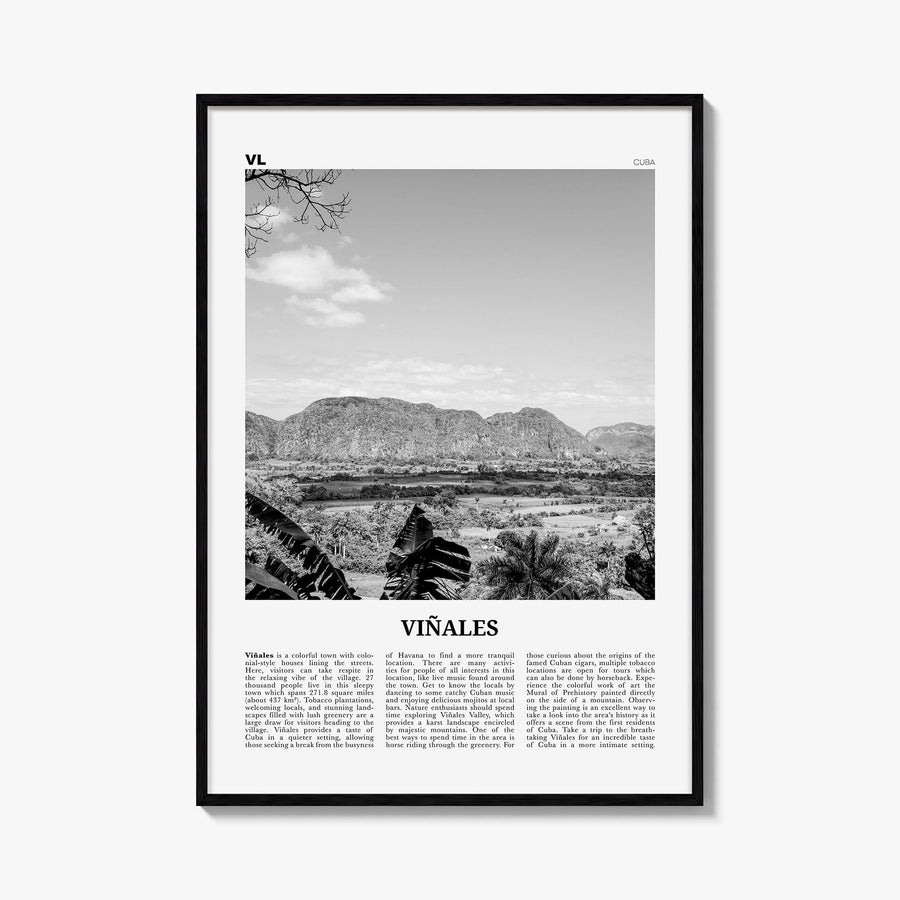 Viñales black & white newspaper poster of Cuba – vertical wall art, unframed print shown in interior mockup
