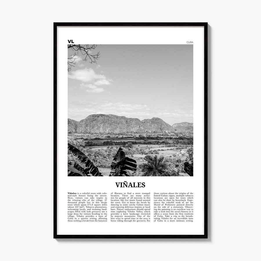Viñales Newspaper Poster, framed poster mockup