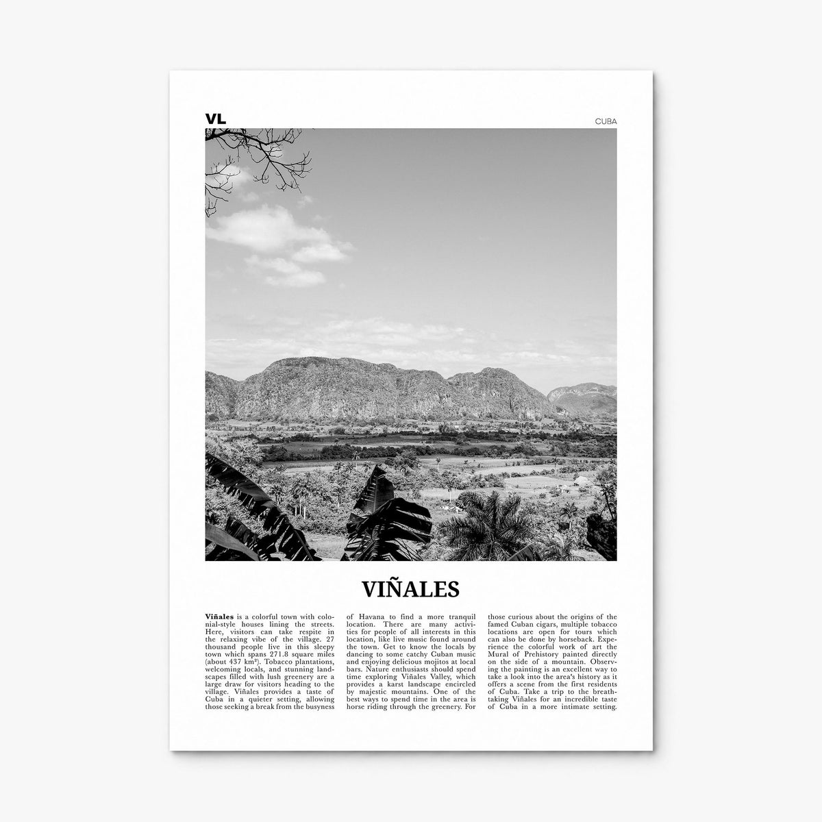 Viñales Newspaper Poster, print only (unframed)