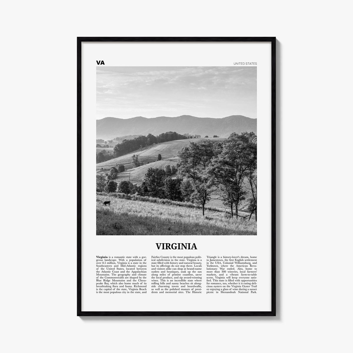 Virginia Newspaper No 1 Poster