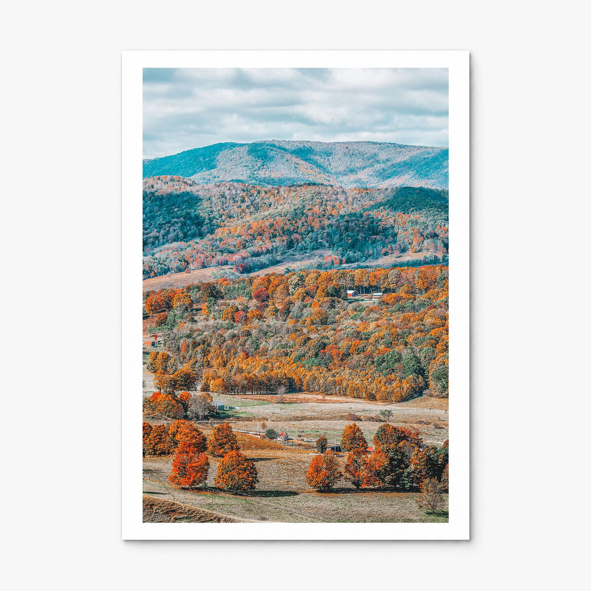 Virginia Photo No 1 Poster, print only (unframed), white border