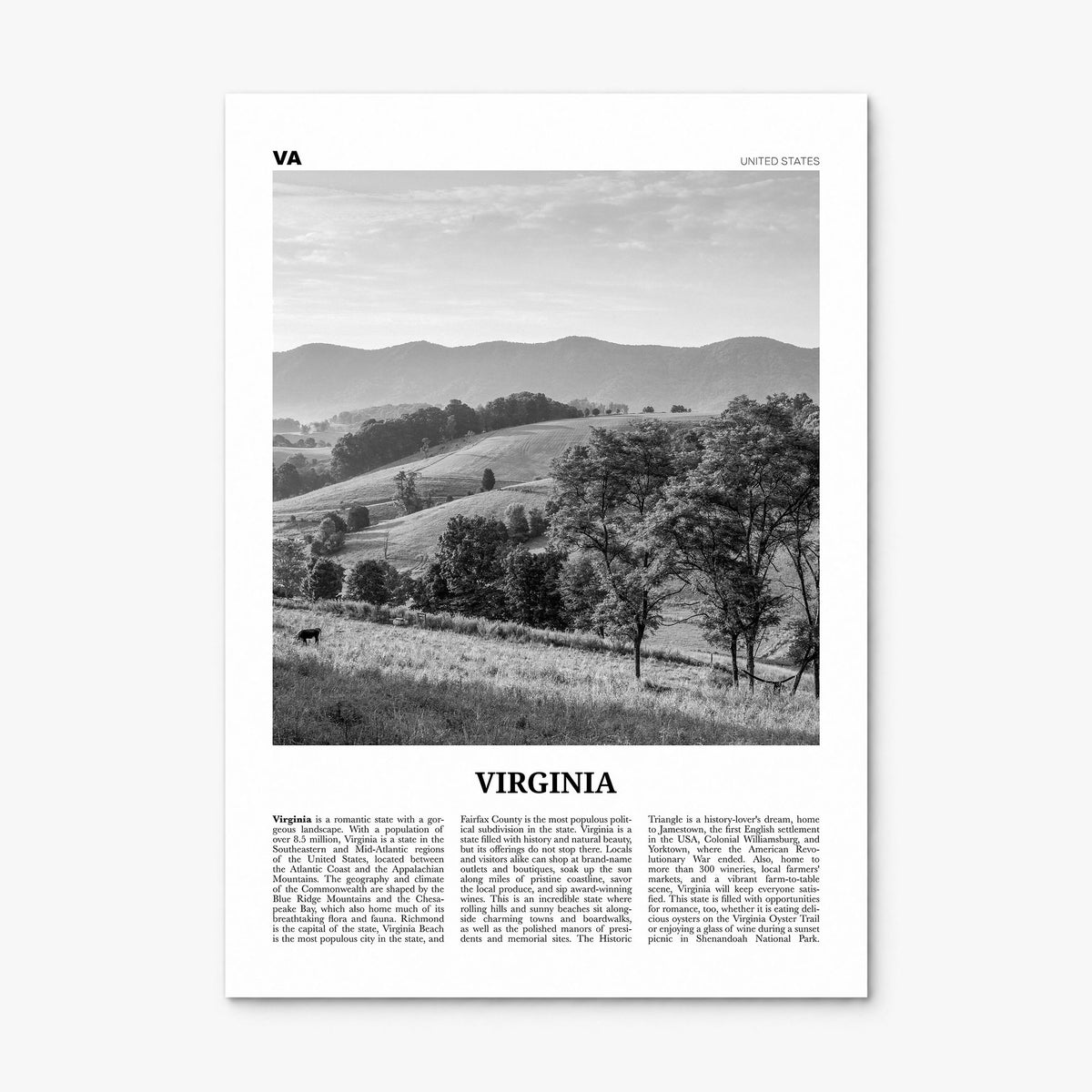 Virginia Newspaper No 1 Poster, print only (unframed)