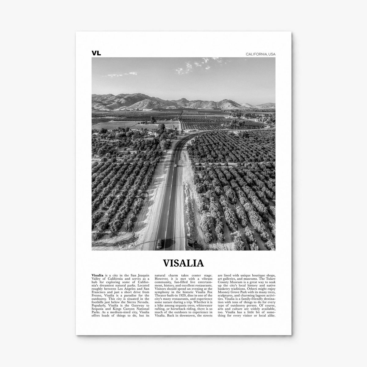 Visalia Newspaper Poster, print only (unframed)