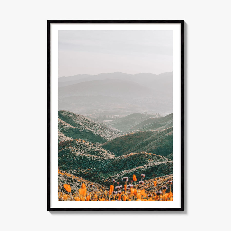Walker Canyon Photo Poster, framed poster mockup, white border
