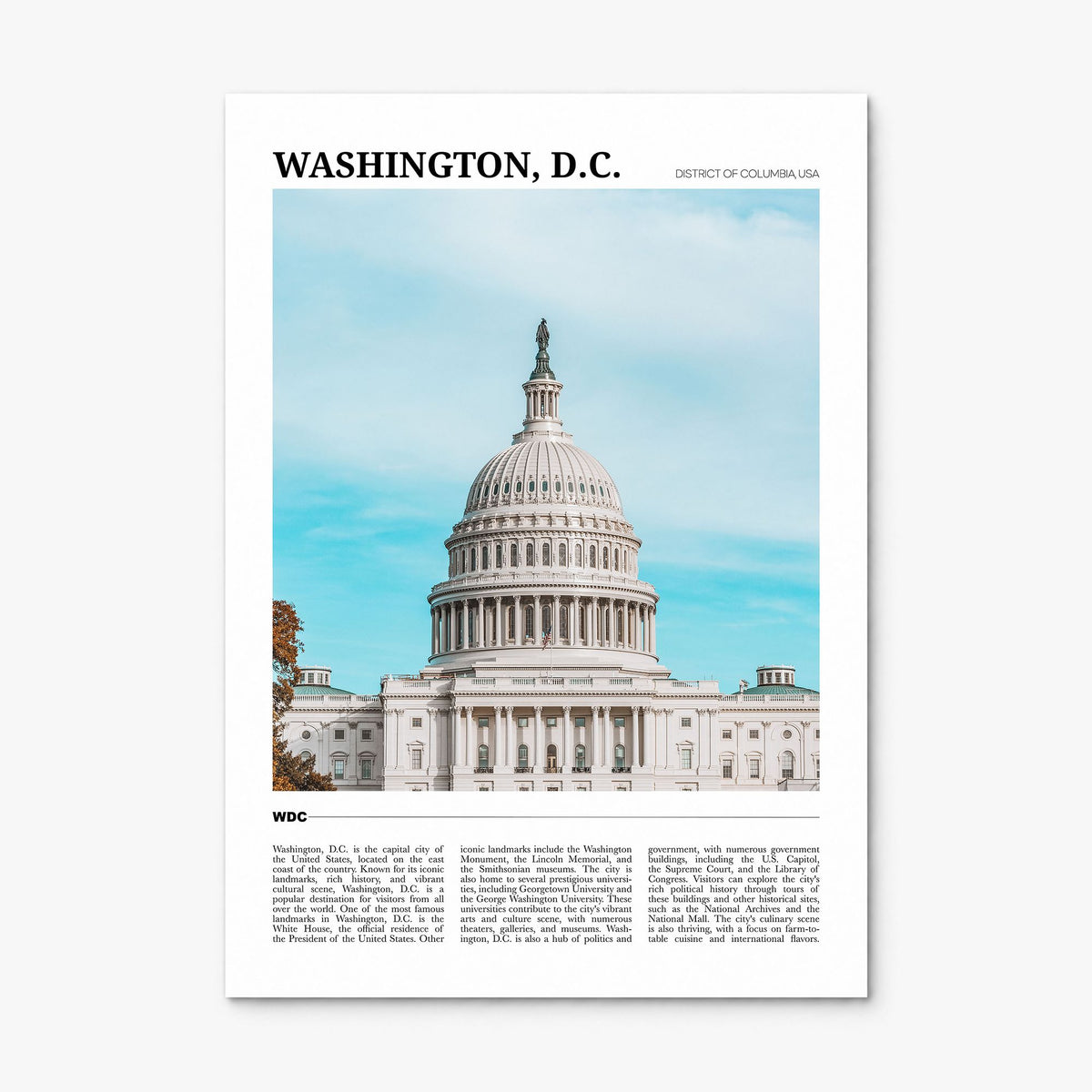Washington, D.C. Travel No 1 Poster, print only (unframed)